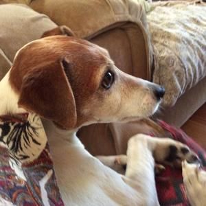 Meet your Posher, Cheri